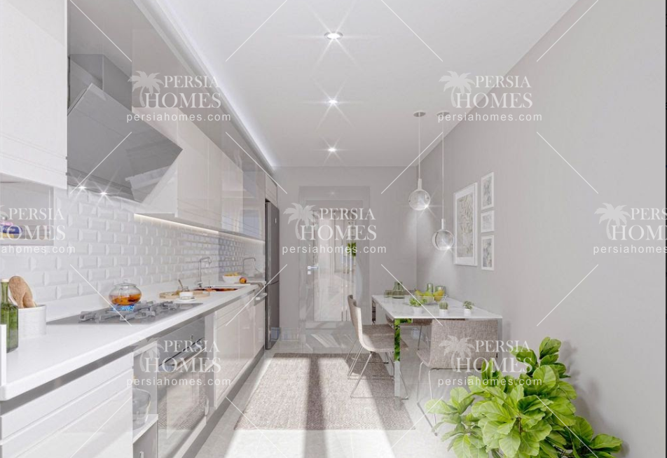 خرید آپارتمان ایرانی پسند بیلیک دوزو خوش آب و هوا در استانبول أشپزخانه1