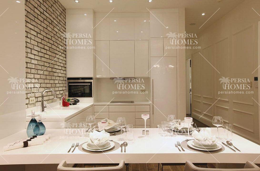 خرید آپارتمان با طراحی مدرن در پندیک استانبول آشپزخانه3