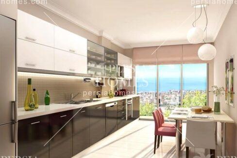 خرید خانه در مجاورت مکان های ارزشمند خدمات شهری در بیلیک دوزو استانبول آشپزخانه
